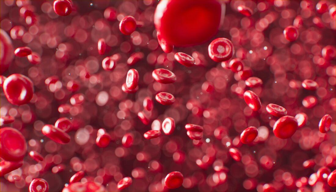 Red Blood Cell or Glob of Plaque?